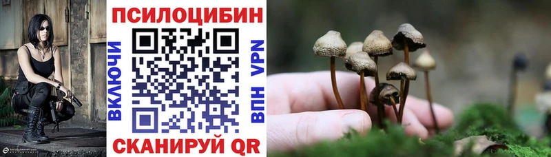 где купить наркотик  сайты даркнета официальный сайт  Галлюциногенные грибы мухоморы  Сызрань 
